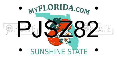 PJSZ82 Florida License Plate