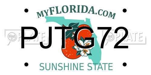 PJTG72 Florida License Plate
