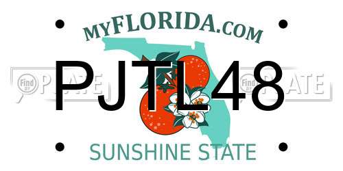 PJTL48 Florida License Plate
