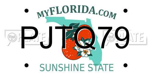 PJTQ79 Florida License Plate