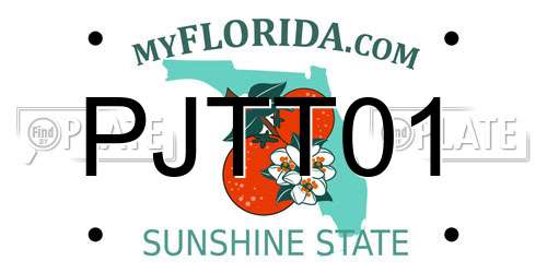 PJTT01 Florida License Plate