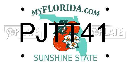 PJTT41 Florida License Plate
