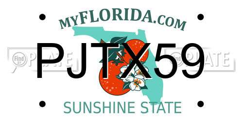 PJTX59 Florida License Plate