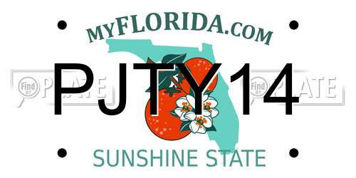 PJTY14 Florida License Plate