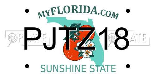 PJTZ18 Florida License Plate