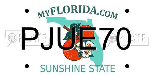 PJUE70 Florida License Plate