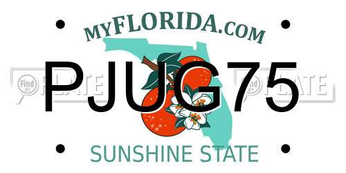 PJUG75 Florida License Plate