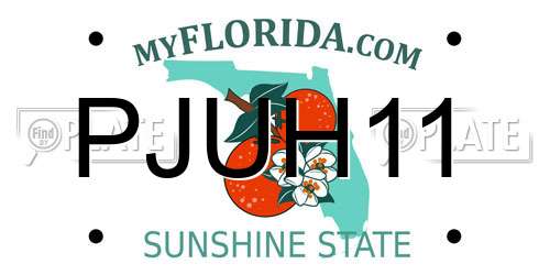 PJUH11 Florida License Plate