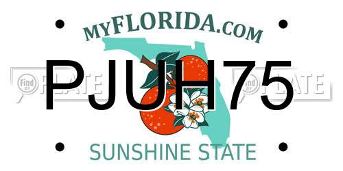 PJUH75 Florida License Plate