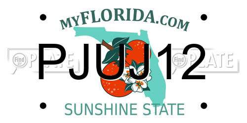 PJUJ12 Florida License Plate