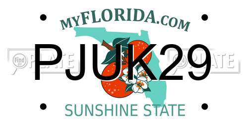 PJUK29 Florida License Plate