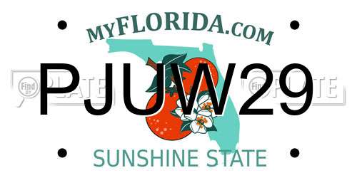 PJUW29 Florida License Plate