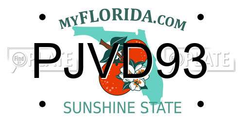 PJVD93 Florida License Plate