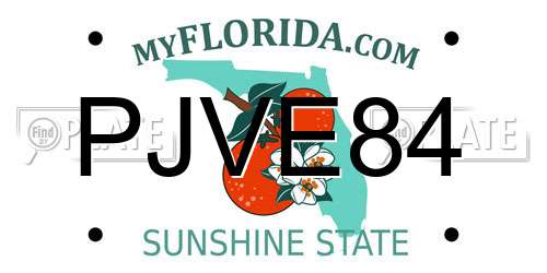 PJVE84 Florida License Plate
