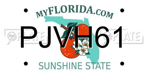 PJVH61 Florida License Plate