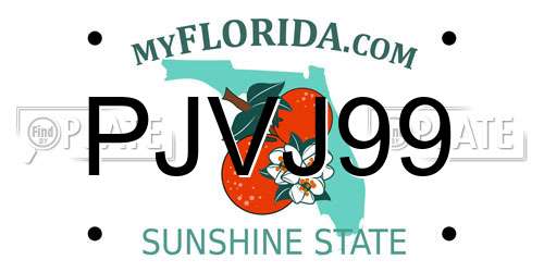 PJVJ99 Florida License Plate