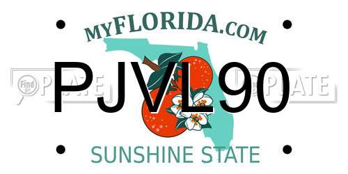 PJVL90 Florida License Plate
