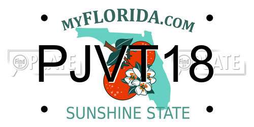 PJVT18 Florida License Plate