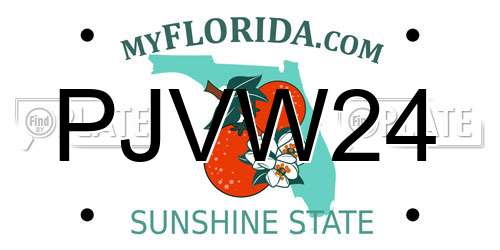 PJVW24 Florida License Plate