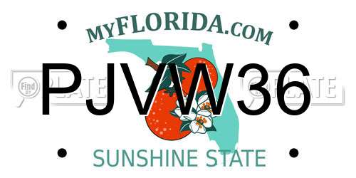 PJVW36 Florida License Plate