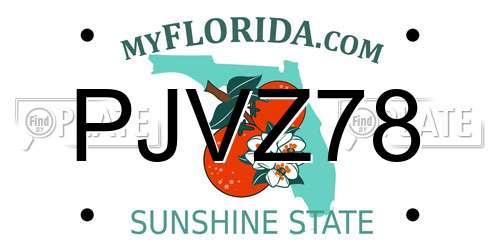 PJVZ78 Florida License Plate