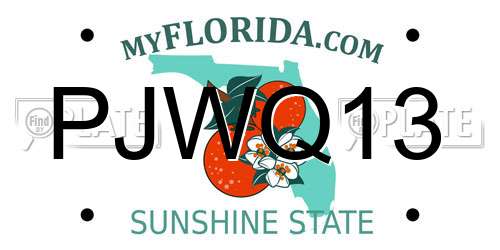 PJWQ13 Florida License Plate