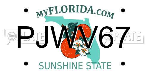 PJWV67 Florida License Plate