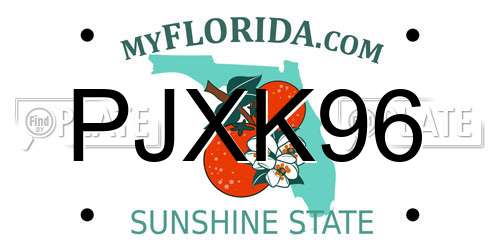 PJXK96 Florida License Plate