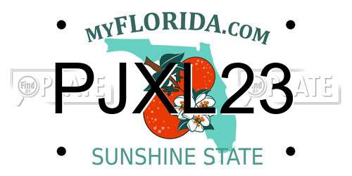 PJXL23 Florida License Plate