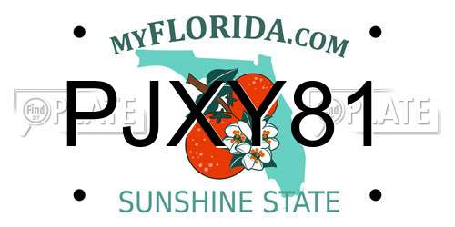 PJXY81 Florida License Plate