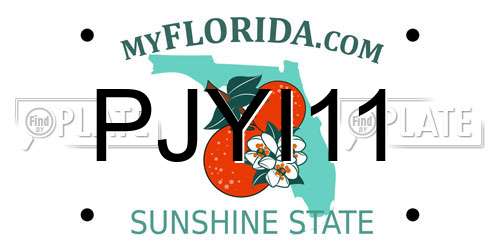 PJYI11 Florida License Plate