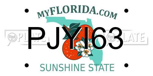 PJYI63 Florida License Plate
