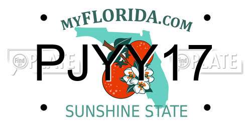 PJYY17 Florida License Plate