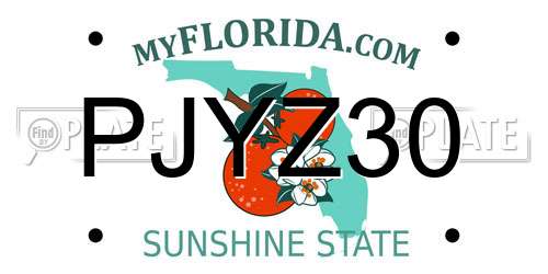 PJYZ30 Florida License Plate