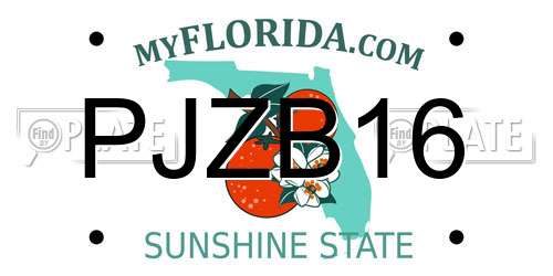 PJZB16 Florida License Plate