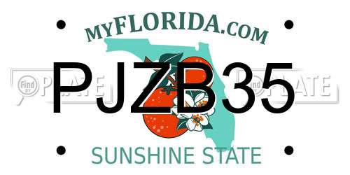 PJZB35 Florida License Plate