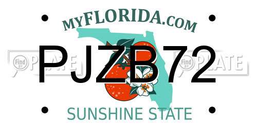 PJZB72 Florida License Plate