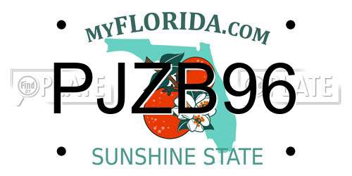 PJZB96 Florida License Plate