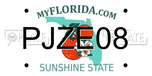 PJZE08 Florida License Plate