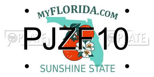 PJZF10 Florida License Plate