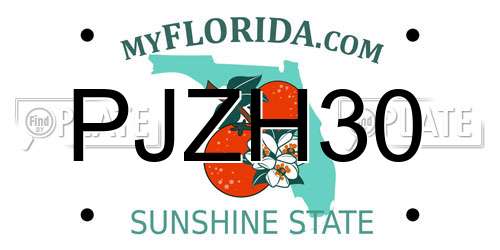 PJZH30 Florida License Plate