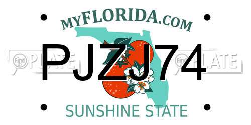 PJZJ74 Florida License Plate