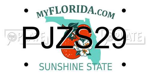 PJZS29 Florida License Plate