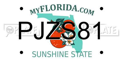 PJZS81 Florida License Plate