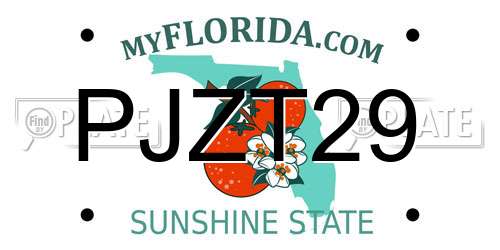 PJZT29 Florida License Plate