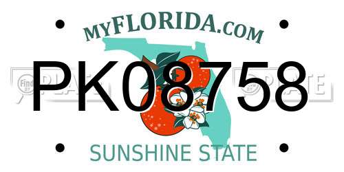PK08758 Florida License Plate