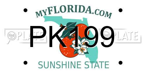 PK199 Florida License Plate