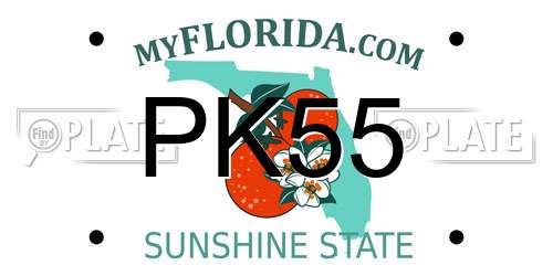 PK55 Florida License Plate