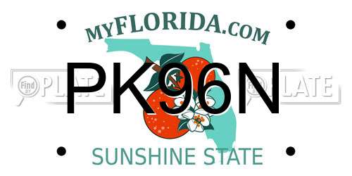 PK96N Florida License Plate