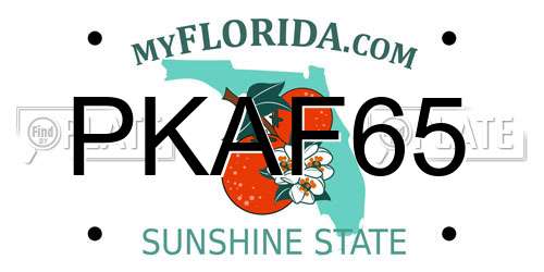 PKAF65 Florida License Plate